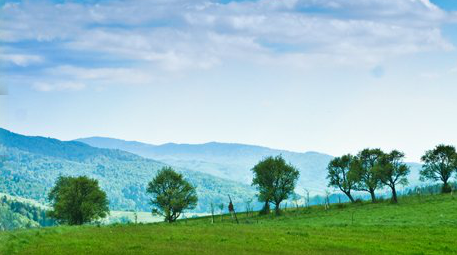 Muszyna